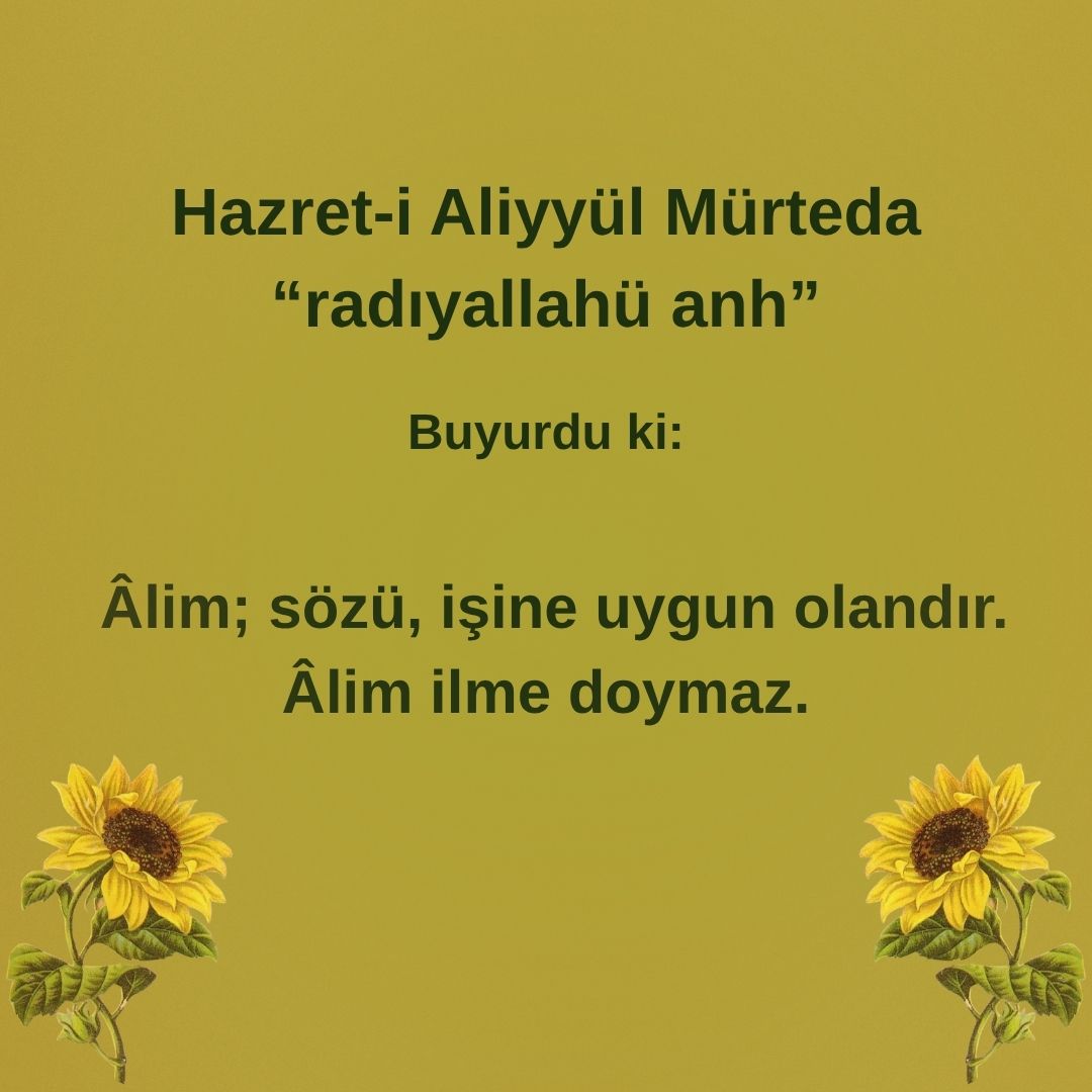 Aliyyül Mürteda (51)